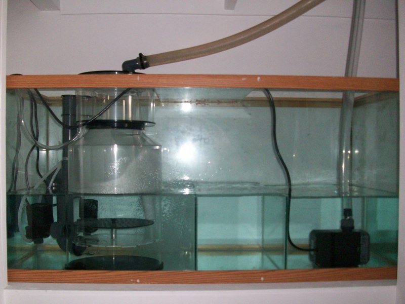 100_6453.jpg