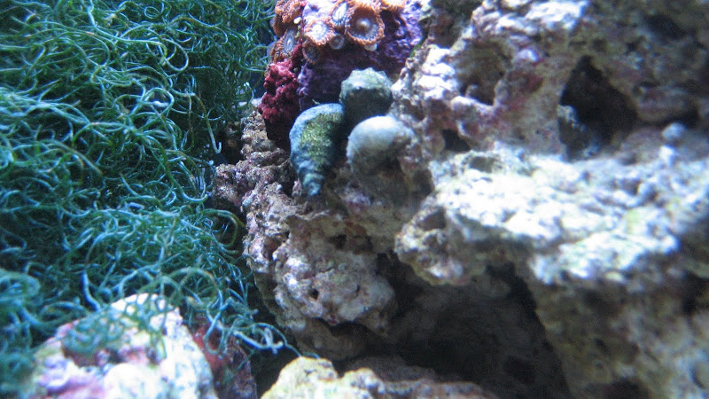 IMG_3538.JPG