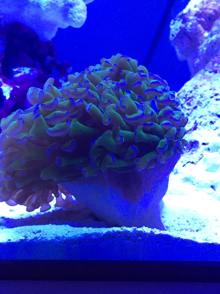 e38d3ef96aa17b0e58e30a947056644d.jpg