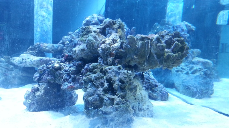 20130319.jpg