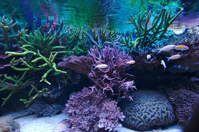 20080929-13.jpg