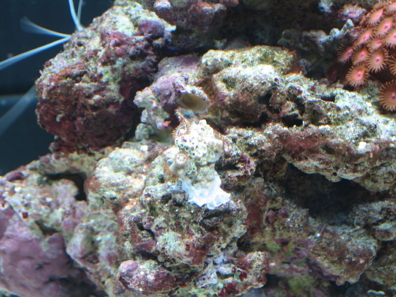 202012867_1ec14065ce_o.jpg