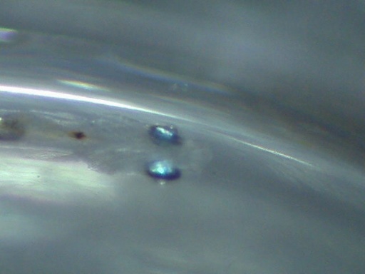 GBG_324_1.jpg