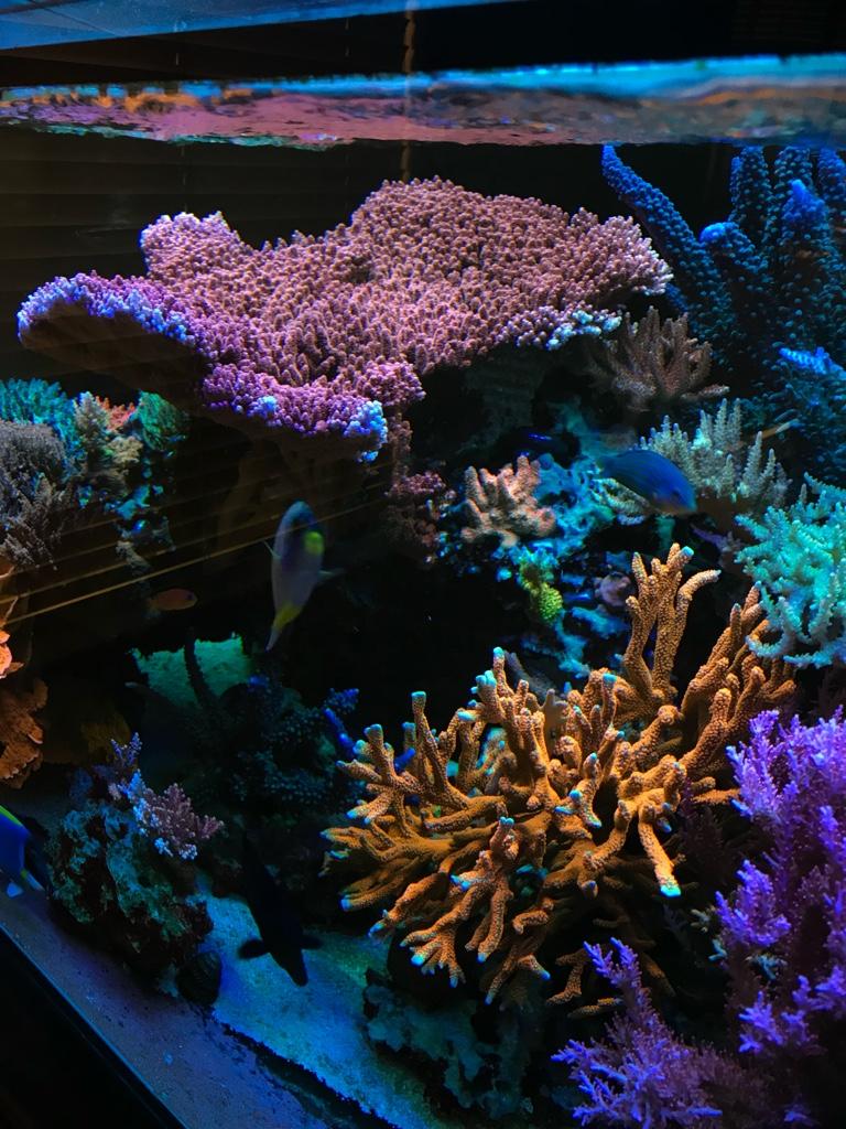 1328ce177ffab39d86443aff521e2d5a.jpg