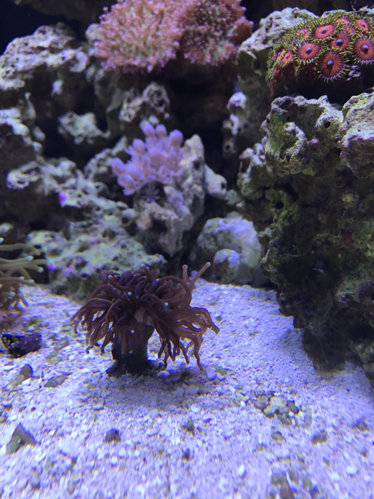 e1531a6732f677f5292f0852633f9d1f.jpg