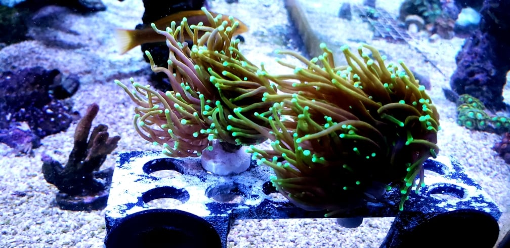 ecb95384c09849f856f3a2b12bc03416.jpg
