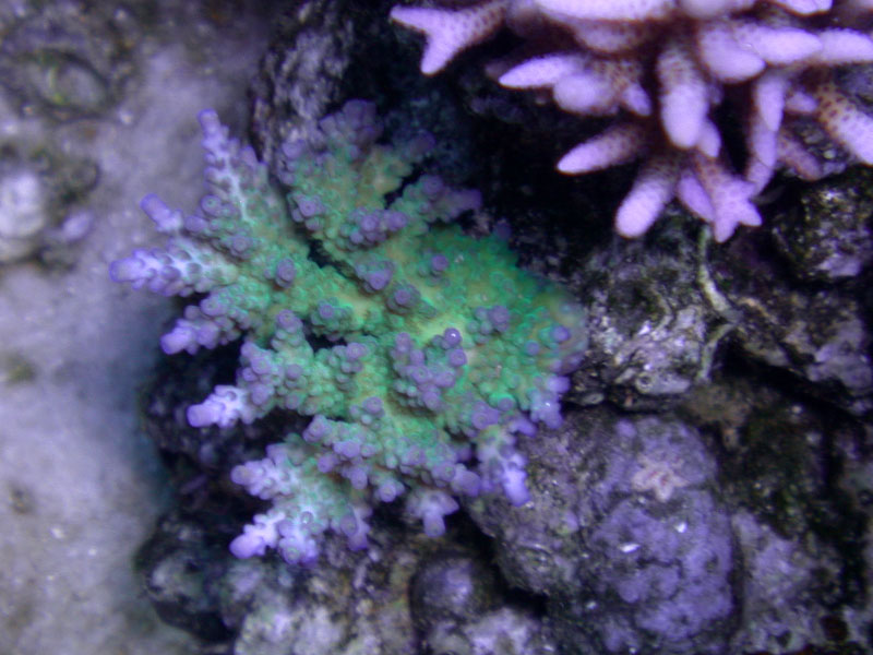 DSCN3517.jpg