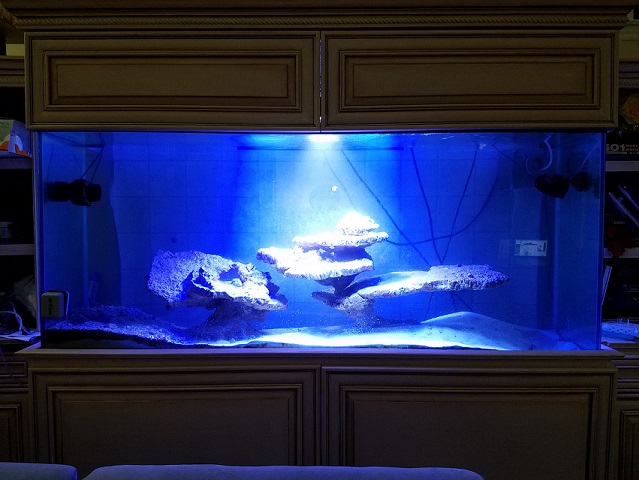 DisplayTank.jpg