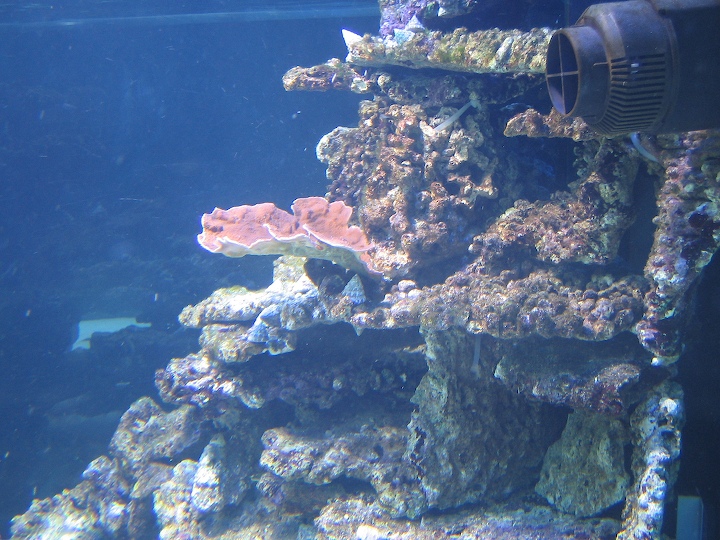 3-old-2006-5.jpg