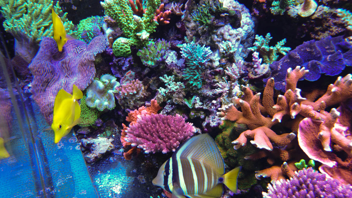DSC_0032.jpg