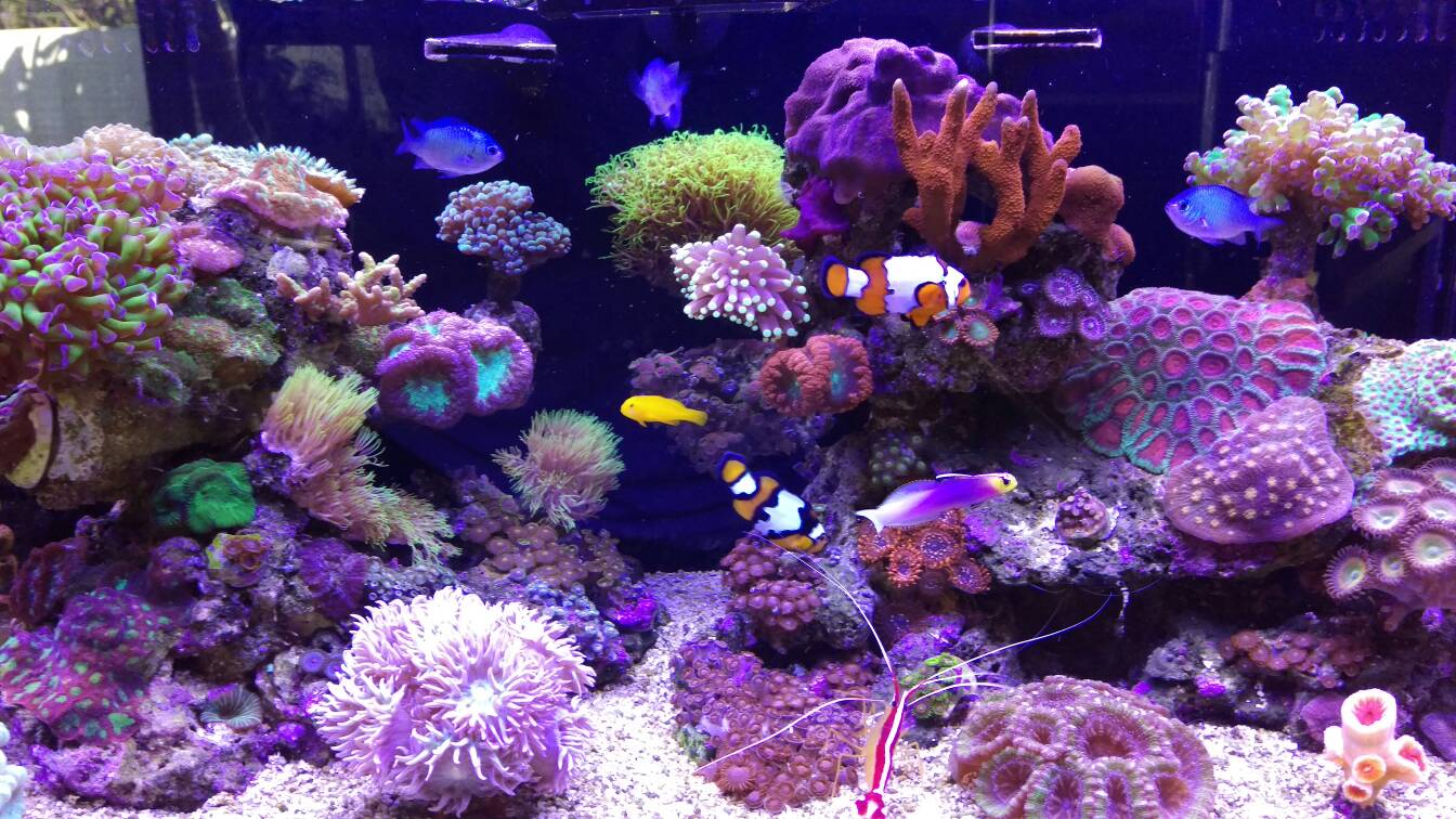 7c7ca46e125c7a42170c0d5d28f6ba38.jpg