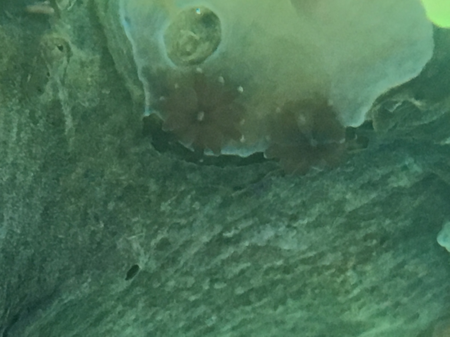 dde5ccec8776e8c9ee024c13c0ef92e6.jpg