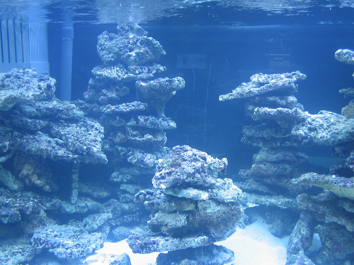 9-old-2005-3.jpg