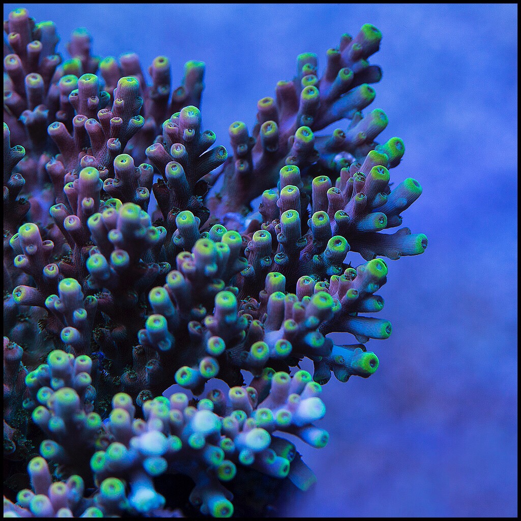 20bf9f377e0fe9d4762b3677fadb8e6b.jpg