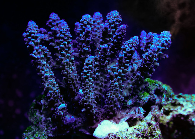5033320153_a2d7856cb5_z.jpg