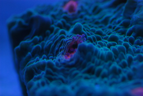 2509848549_6b92064bcd.jpg