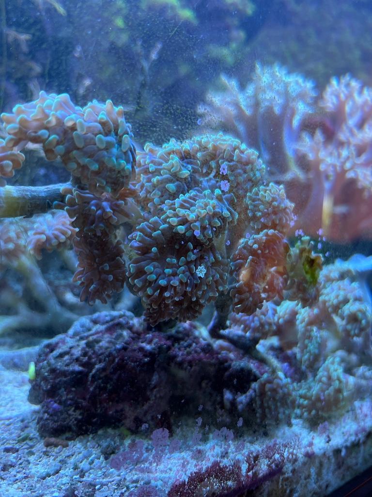 617e6c3d6b5329b511842fb64ecef68d.jpg