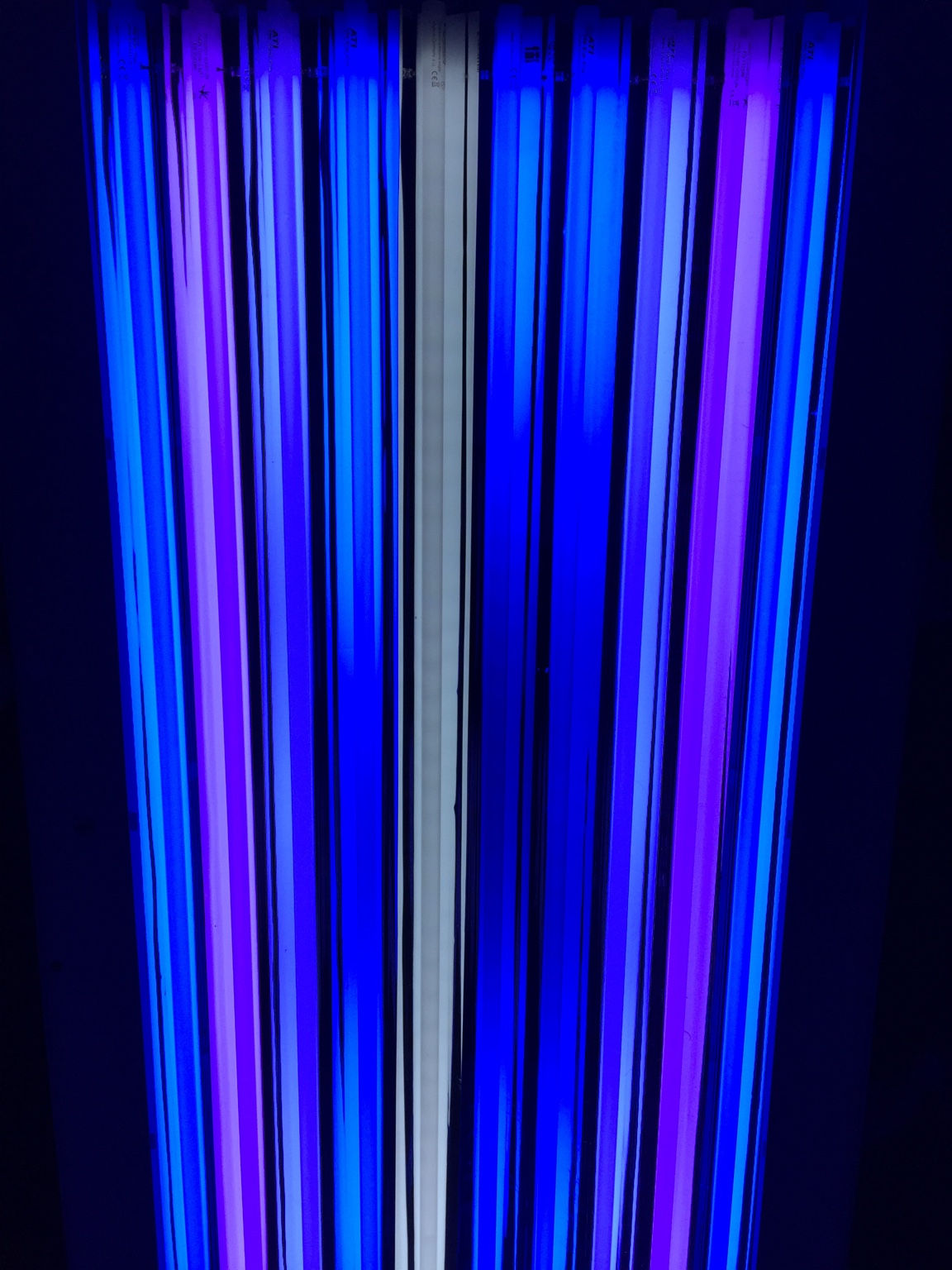 f1250bbfa4f63df9de7b7a8105a0a4f5.jpg