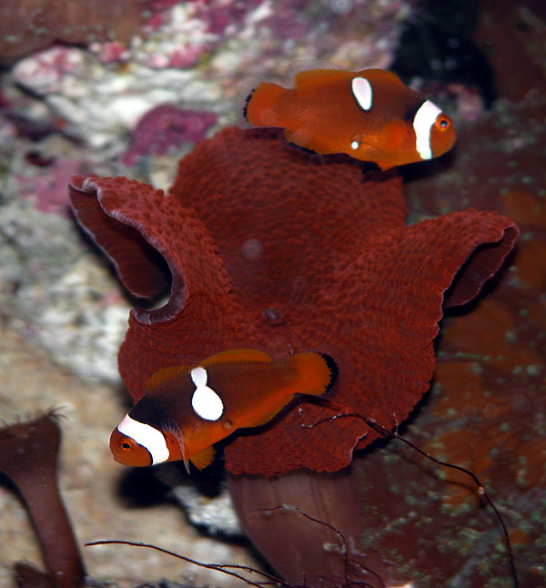 DSCN7853.jpg