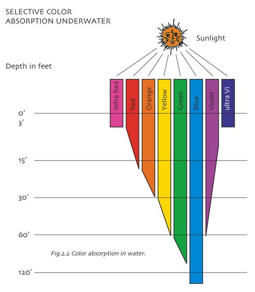 Selective%20Absorption%20Graphic.jpg