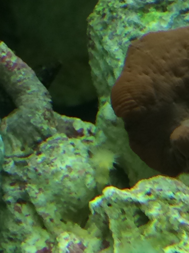 ed655c23d41ab5270a15f9d952f6ebe9.jpg