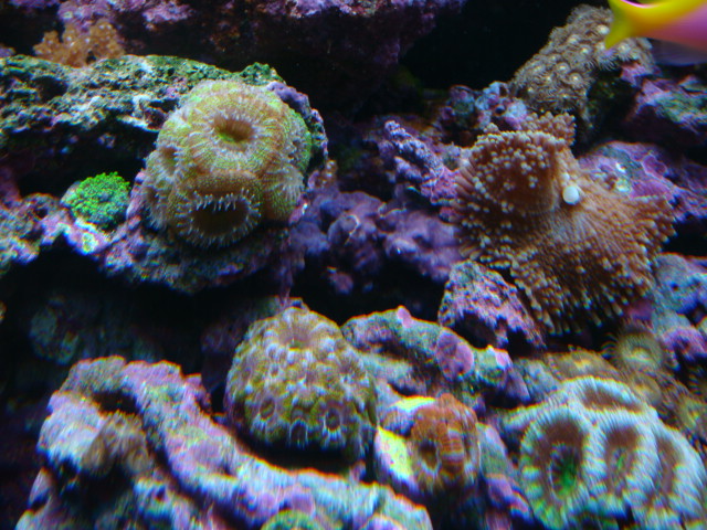 4160753727_1f218e1549_o.jpg