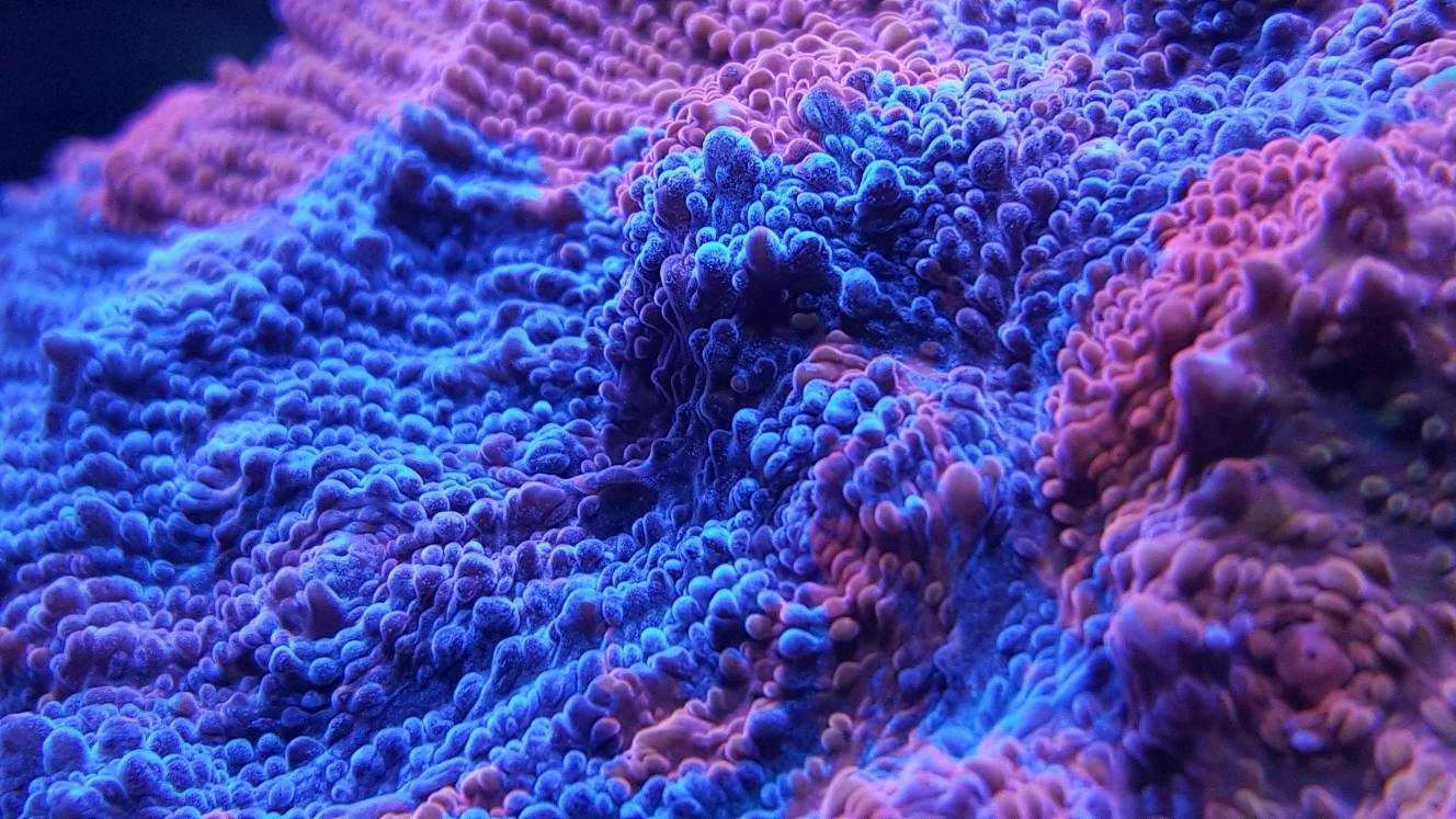 d689303c25d178e52018fd56c8673351.jpg