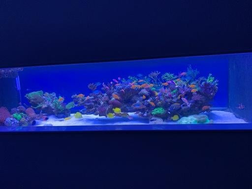 f5ae7786e41b013b03c27e5148003658.jpg