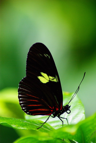 2784886947_caa9539d14.jpg