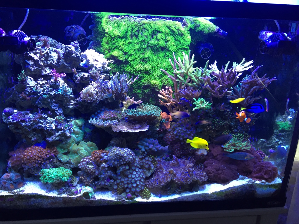 ddec370659d747c90ca4e7fa1ded8161.jpg