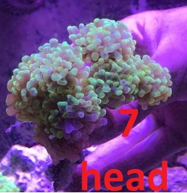 f9632cde3d138388e1c80837f2d024be-png.jpg