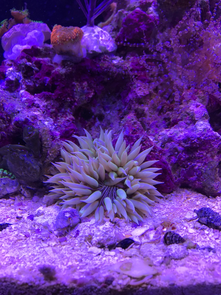 e1af3599374d40c2e79a8da0bb822a75.jpg