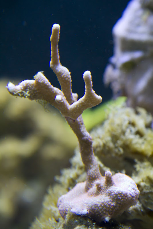 270-aquarium-6148.jpg