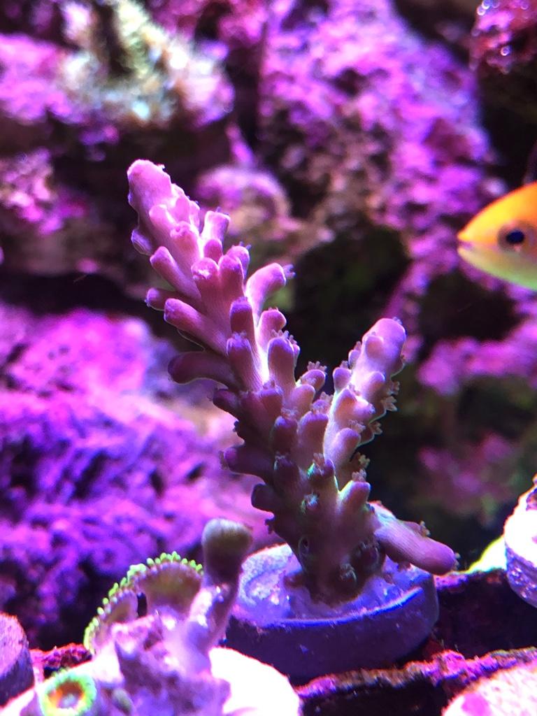 22b4a149e233970f12d90754e49aafe1.jpg