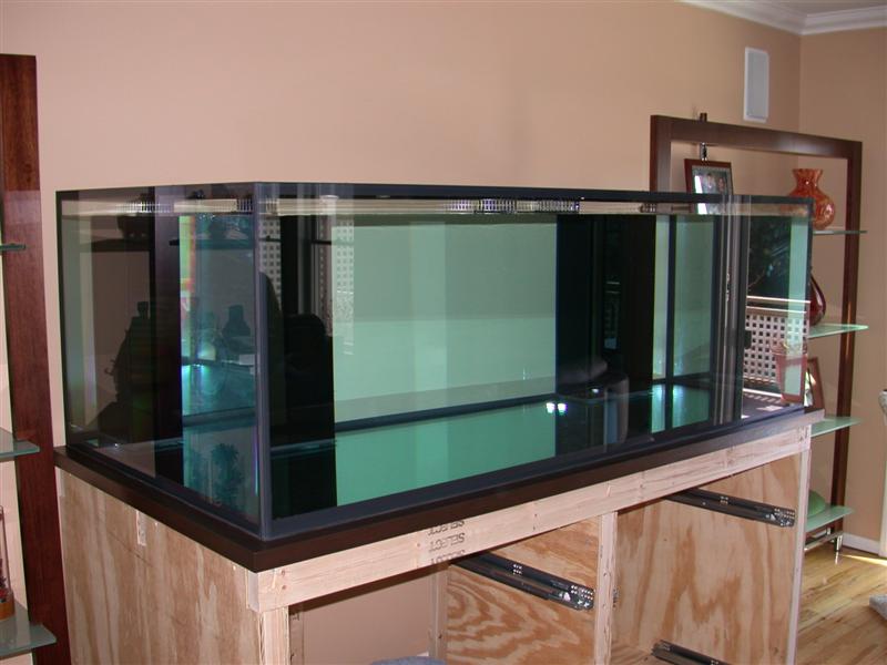 DSCN2076.JPG