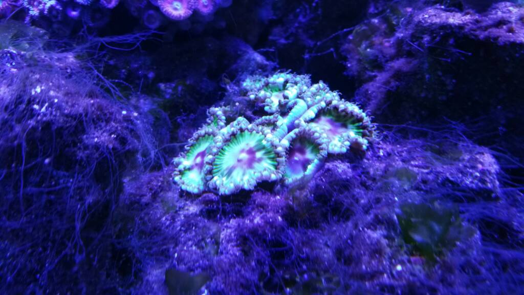 0bb8902c3fd2effae1d1b7edae590ace.jpg
