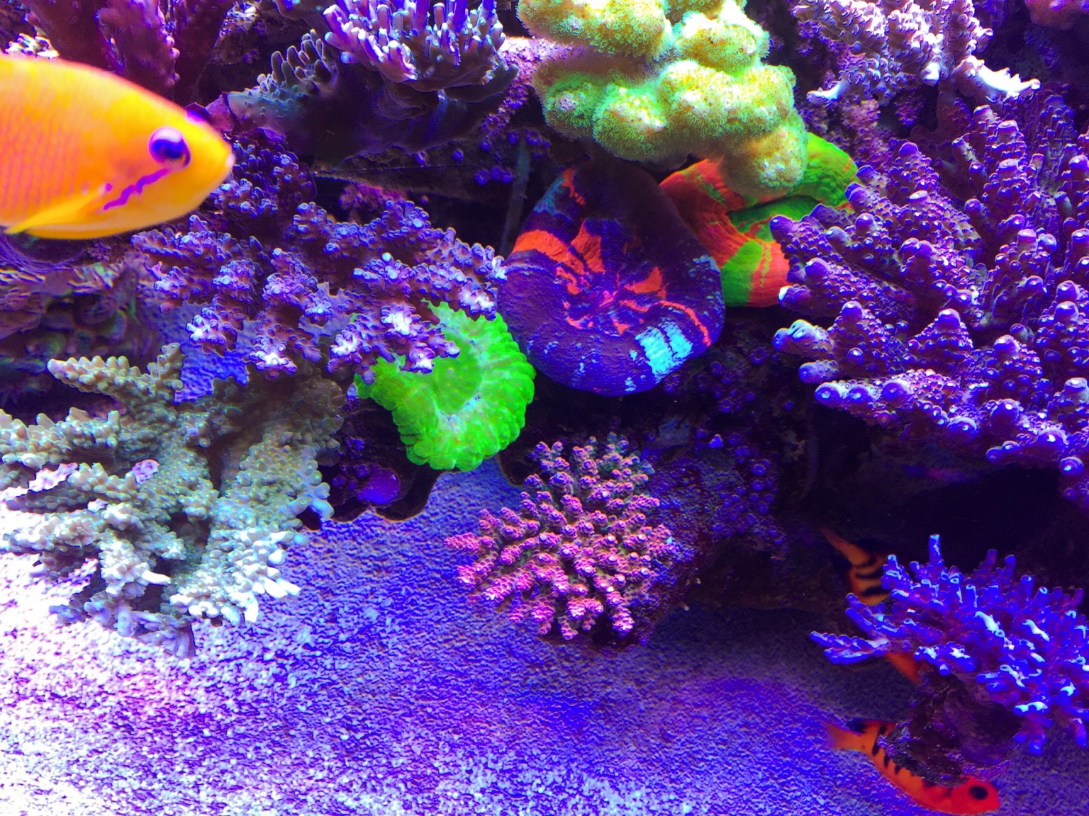 6c581749bdca65c726b42b85c969be30.jpg