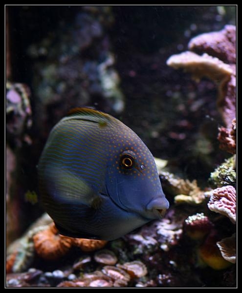 IMG_4451.JPG
