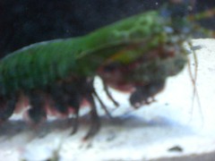 1129055274_aa8de06491_m.jpg