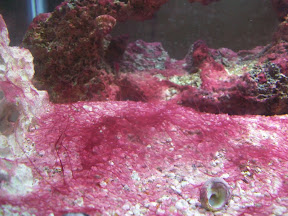 100_1746.JPG