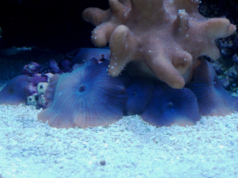 100_9654.jpg