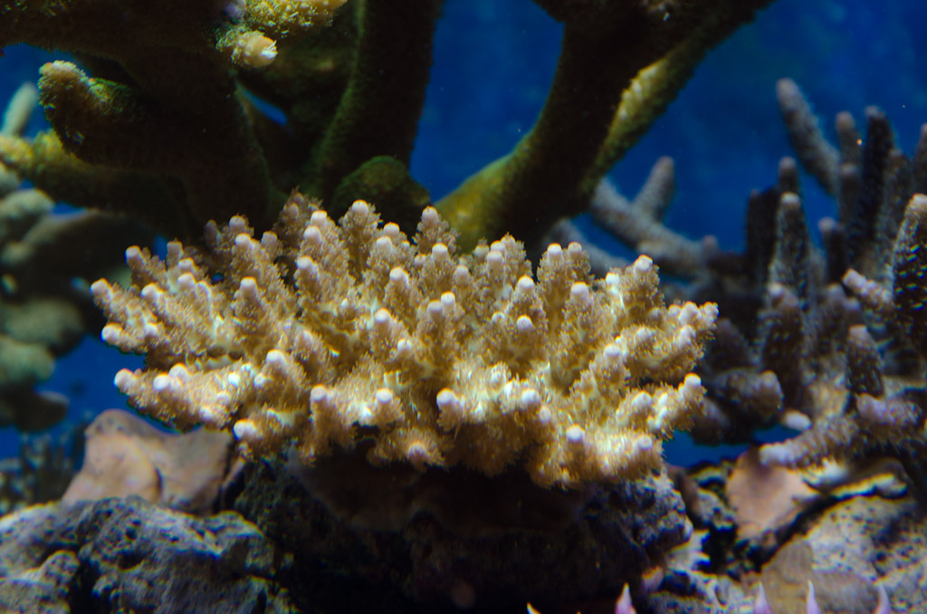 DSC_3757.jpg