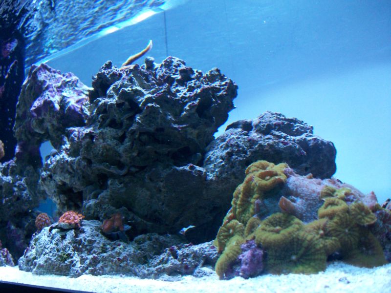 100_8558r.jpg