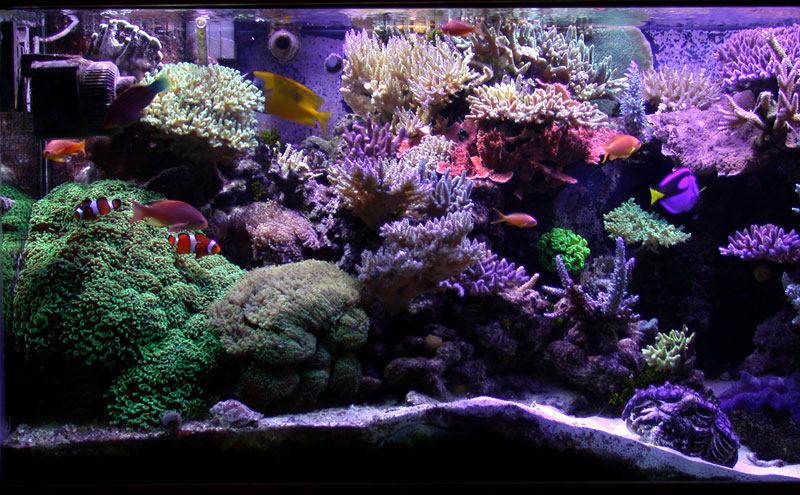DSCN0896.jpg