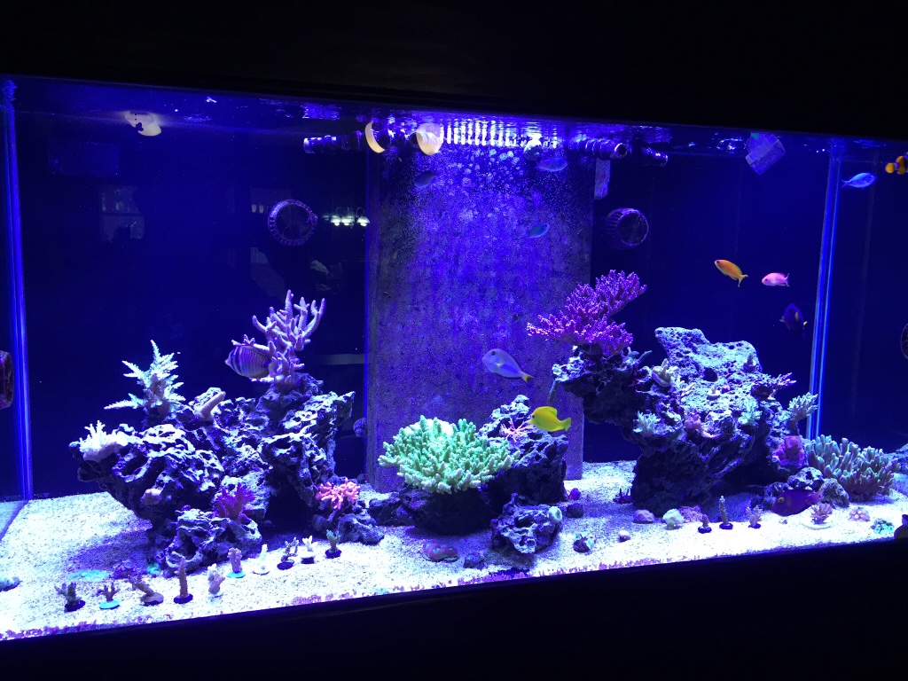 c2e88bb5224d0a178cc96e9b20f436e6.jpg
