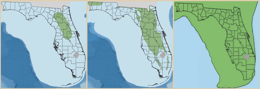 Geologic maps of Florida showing theuplift of Orange island and the Pleistocene glaciation