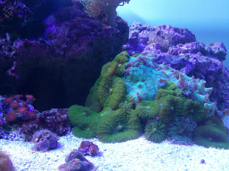 100_9629.jpg