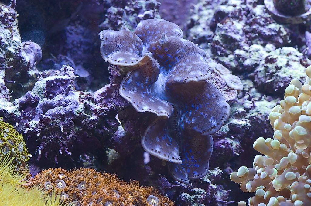 DSC_3392.jpg