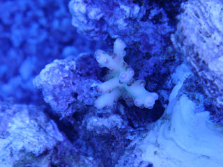 DSC03293.JPG