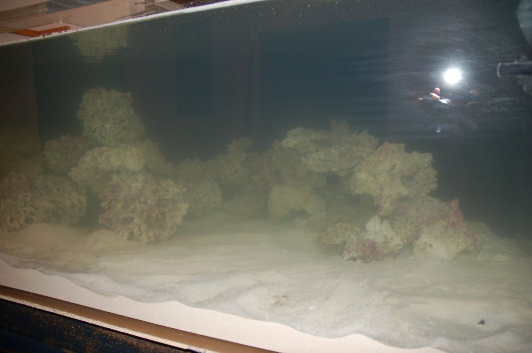 fishroom52.jpg